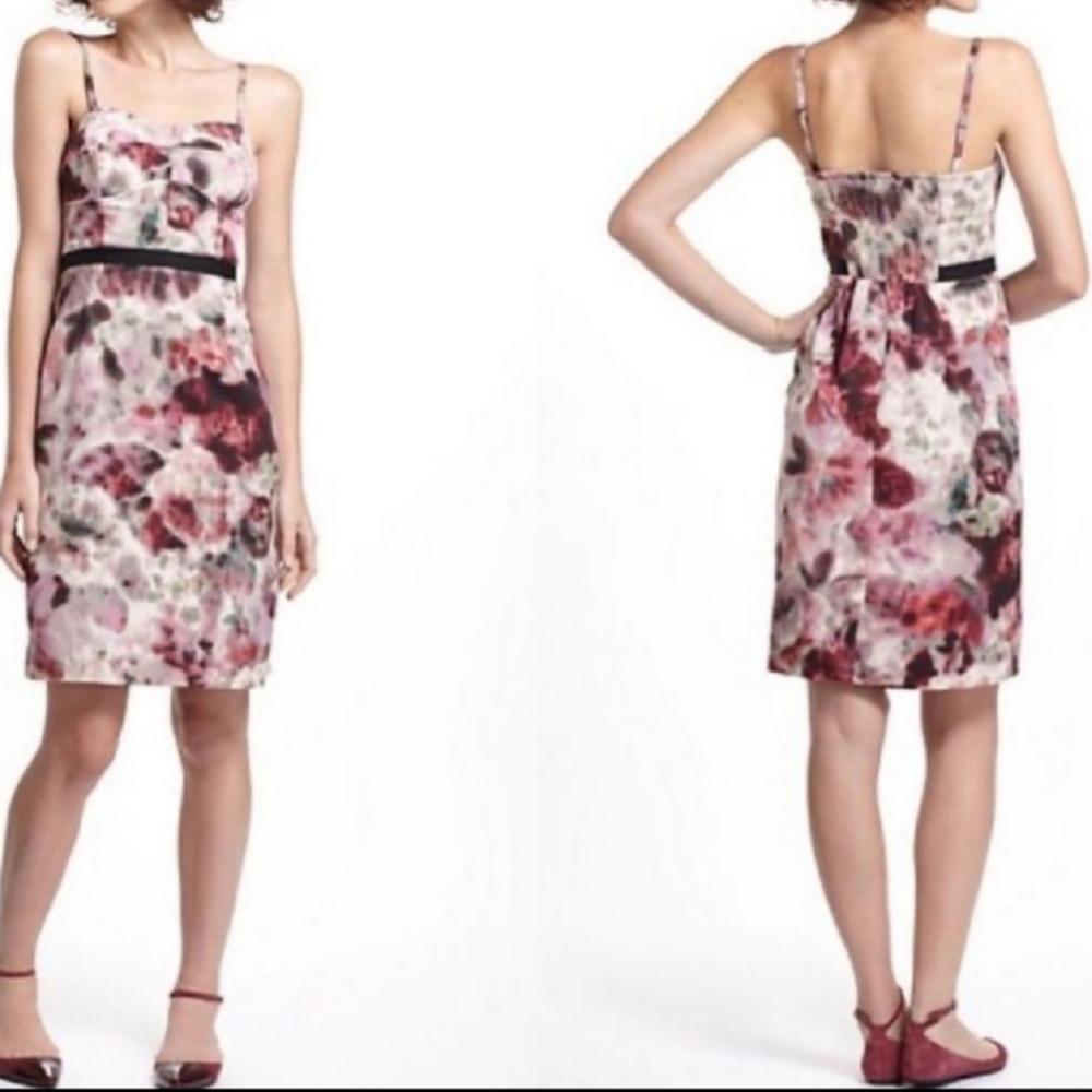 Anthropologie  Moulinette Soeurs Hedgerow Corset Sheath